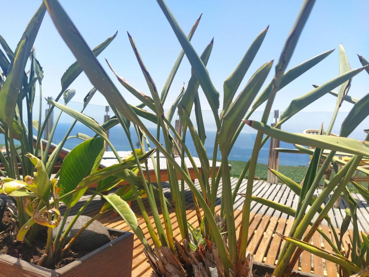 Penthouse La Palmita - Tazacorte, La Palma Dış mekan fotoğraf